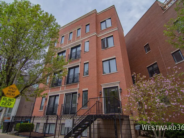 1804 W Ellen St Unit 1, Chicago, IL 60622