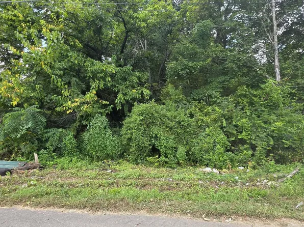 1233 Ohio Ave, Knoxville, TN 37921