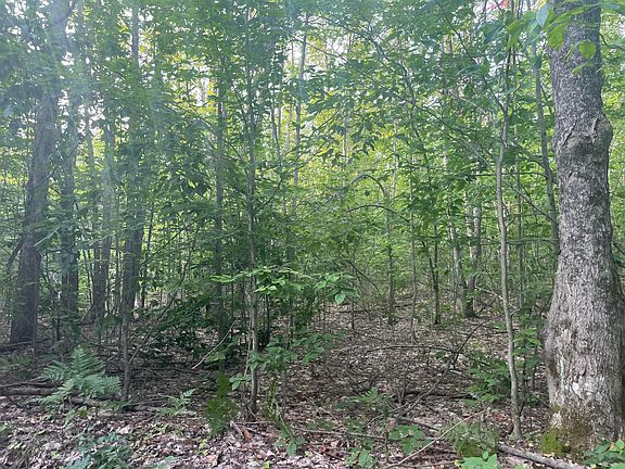 3rd image of V/l 10ac Shawnee Trl