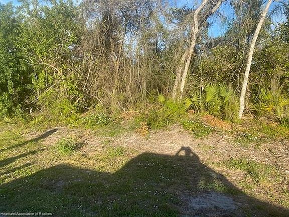 3rd image of 441 Cross Creek Ave