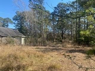 4th image of 1513 Cheyenne Loop