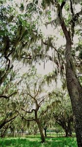 PARKWAY AVENUE, Saint Cloud, FL, 34772