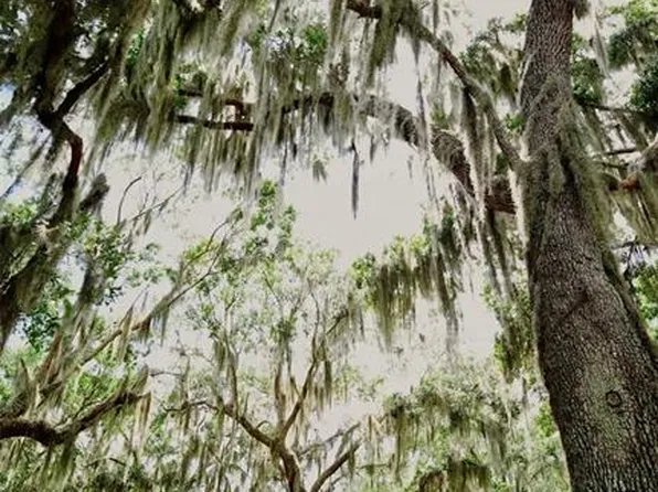 Parkway Ave, Saint Cloud, FL 34772