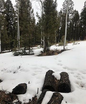 5th image of 595 Ridge Rd
