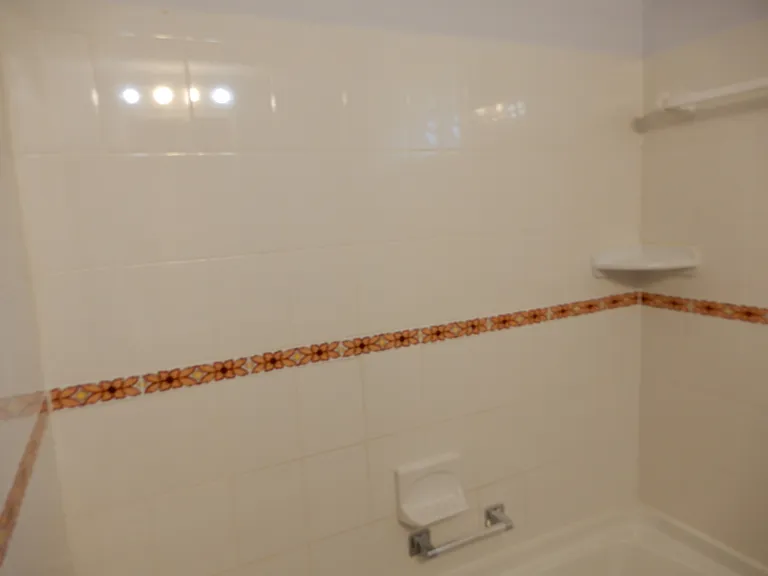 Master Shower / Tub