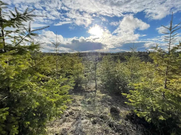 Badger Ridge Dr Parcel 6, Orofino, ID 83544
