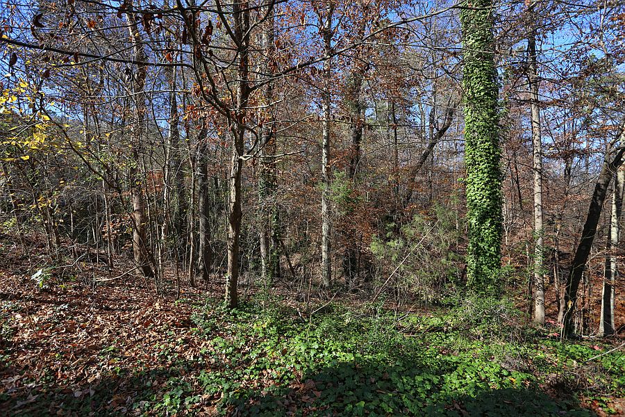 2nd image of Old Bridge Ln #3