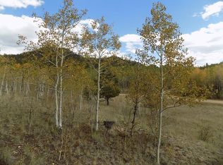 2165 Al Gulch Rd, Jefferson, CO 80456