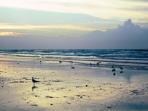 the beach
