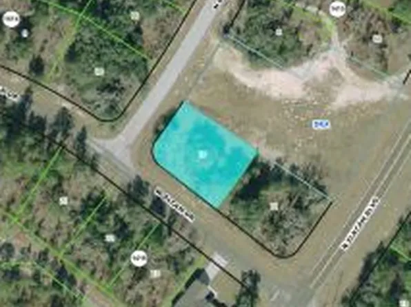 10655 N Dragonis Dr, Citrus Springs, FL 34433