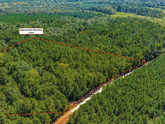 2nd image of 4100 County Road 915