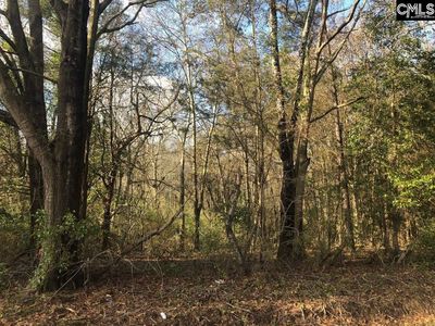 Holley Ferry Rd, Leesville, SC, 29070