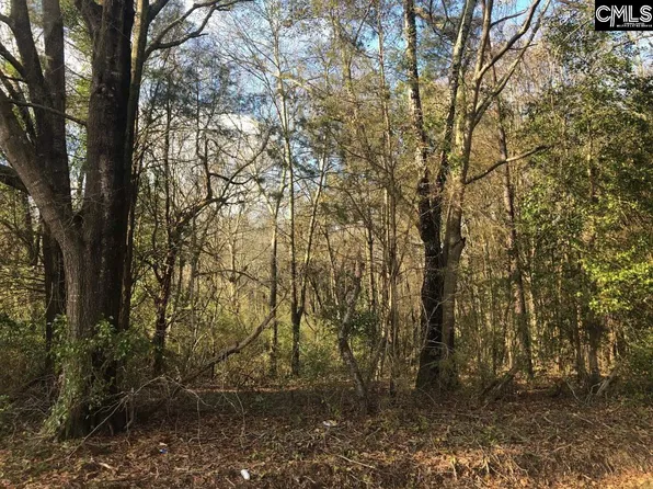 Holley Ferry Rd, Leesville, SC 29070