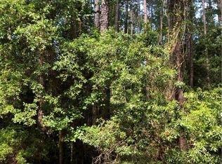 4 N Eagle Neck Dr, Townsend, GA 31331