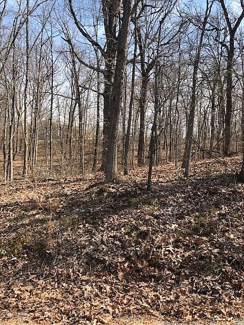 2nd image of Bell Ln