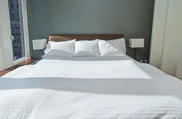 Rented by NOVO | media 37