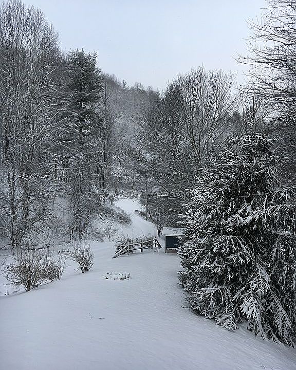 2nd image of 677 Ray Davis Rd
