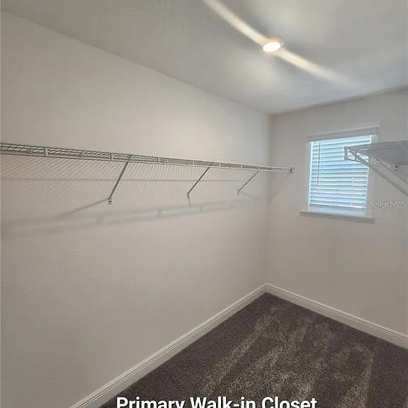 32118 Pond Apple Bnd — Photo 12