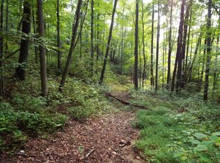 1265 Hemlock Falls Dr, Sylva, NC 28779