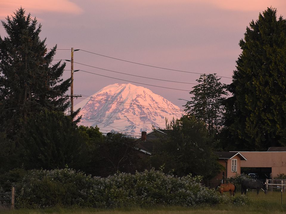 The mountain view!