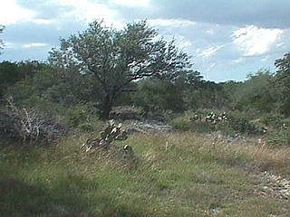 1st image of 171 Pin Oak Trl