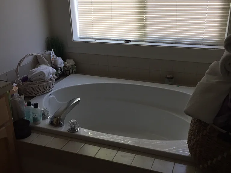 Master bath tub