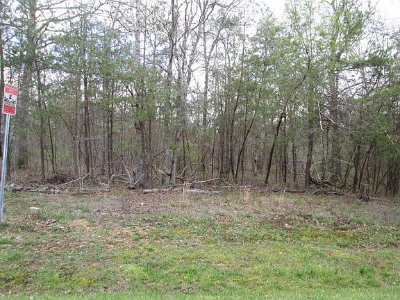 3rd image of Canary Dr