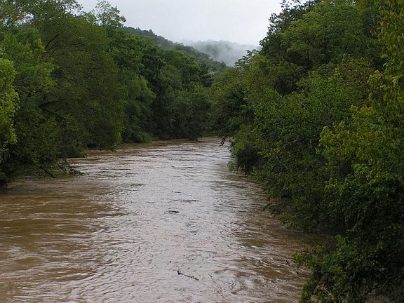 5th image of 233 Old Sr 85 Hwy