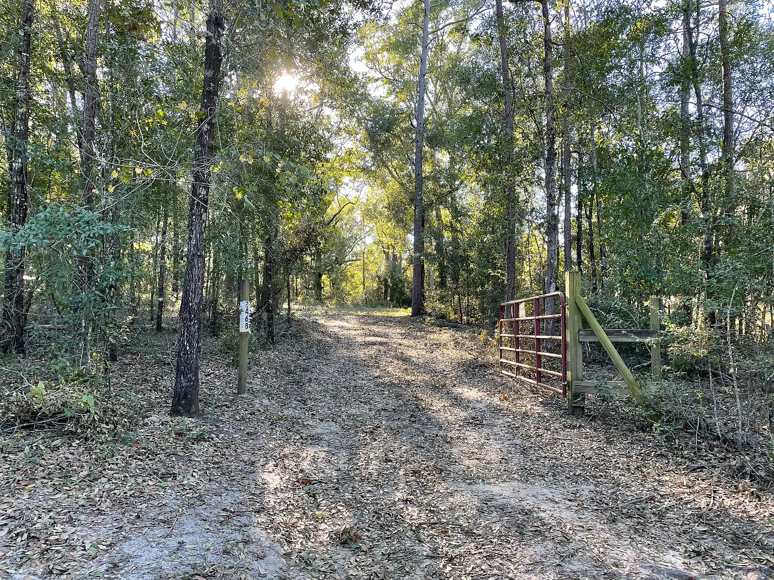 3 bed, $1,200 — Photo 2