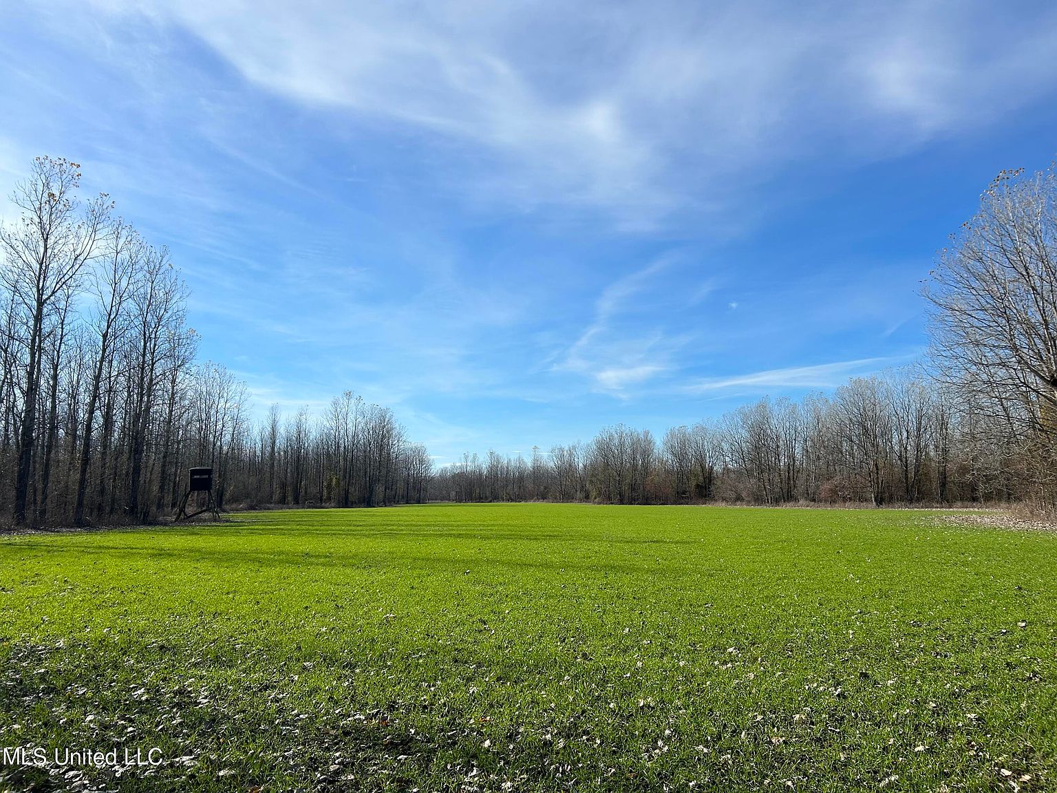 Goose Lake Rd, Mayersville, MS 39113 MLS 4054360 Zillow