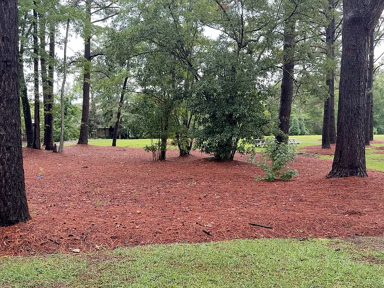 4601 Song Sparrow Ct — Photo 15