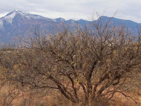 6055 S KELLY Lane #28, Hereford, AZ 85615