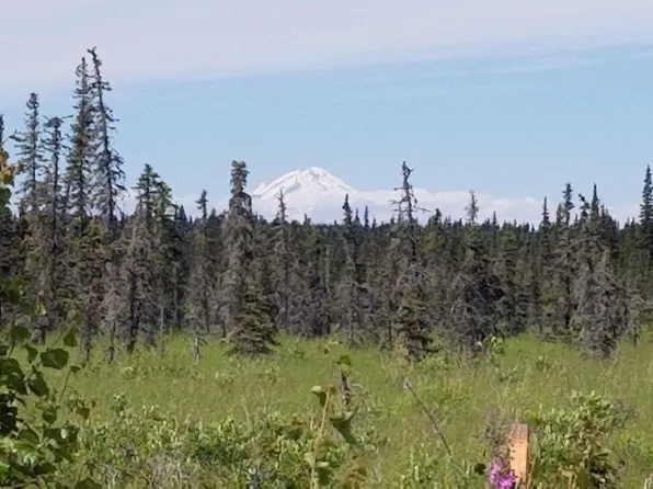 L7 A&7 B Rowen St, Anchor Pt, AK 99556