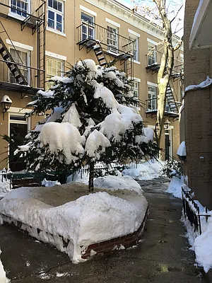 Rented by Duell LLC | media 18