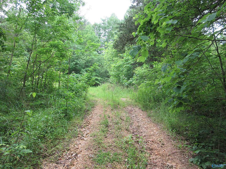 1st image of 100 County Road 119