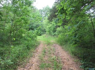 100 County Road 119, Scottsboro, AL 35768