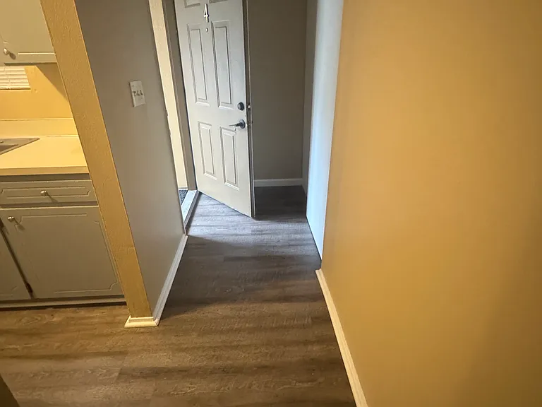 Entrance to apartment with closet on side.