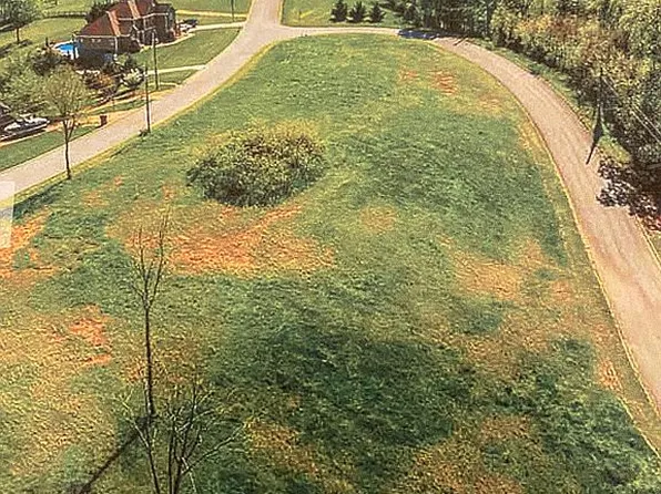 3479 Heathcliff Rd, Morristown, TN 37813