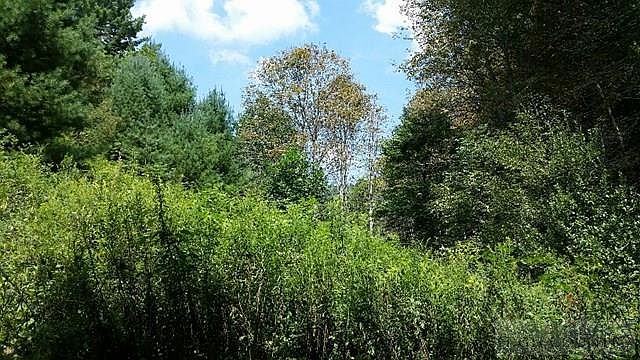 2nd image of Tbd Drakes Creek Road