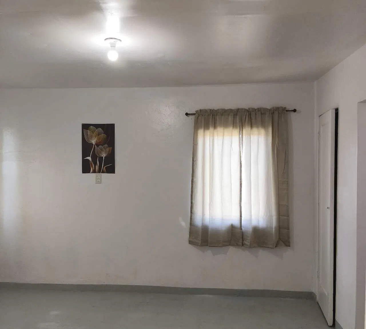 1 bed, 500 sqft, $460 — Photo 4