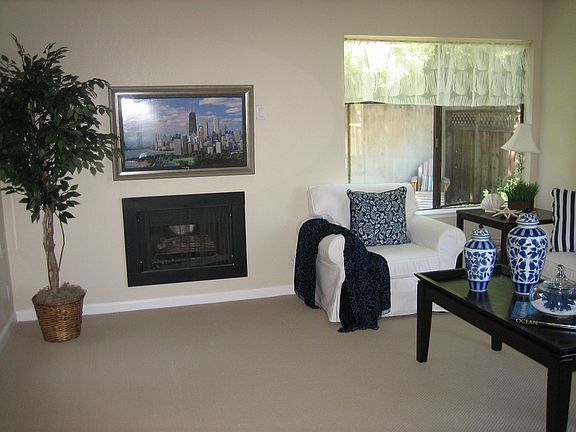Gas Fireplace in the Living Room