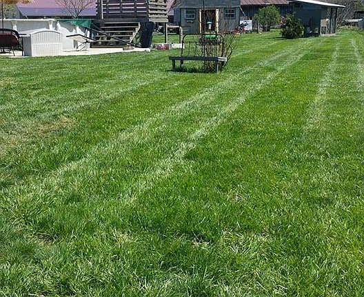 3rd image of 7110 Country Walk Dr