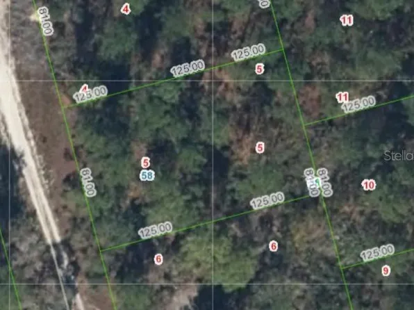 213 Imagination Dr #5, Lake Placid, FL 33852