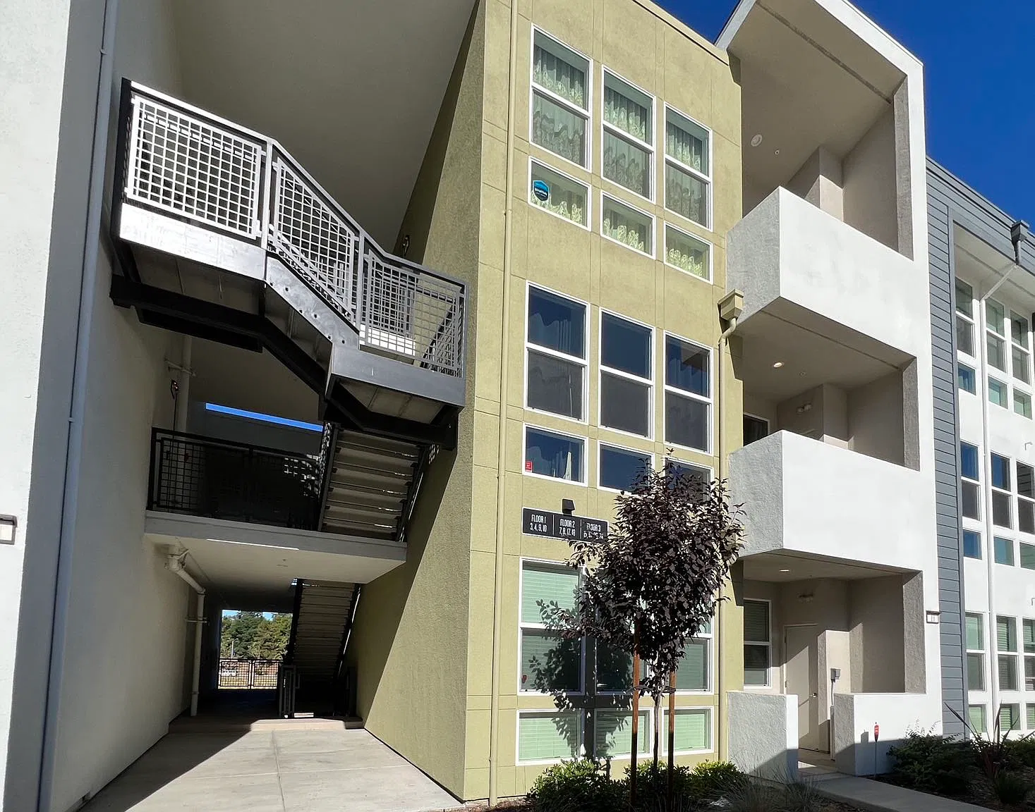 2 bed, 1004 sqft, $2,650 — Photo 2