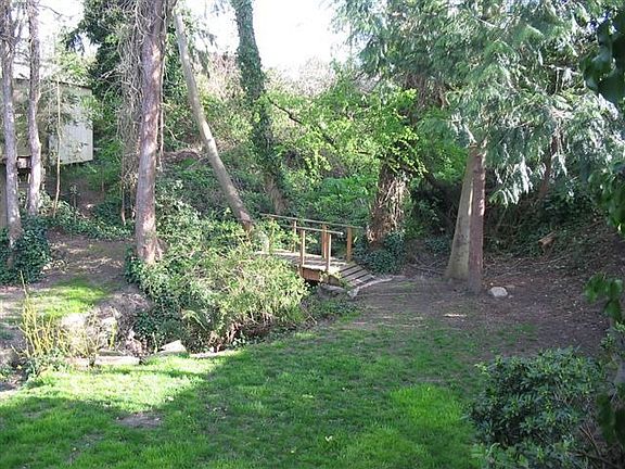 Private backyard with year-round creek