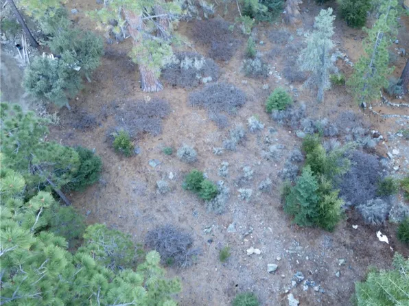 15024 Chestnut Dr #90, Pine Mountain Club, CA 93222