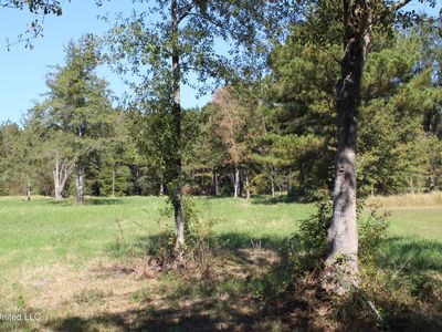Tanner Williams Rd, Lucedale, MS, 39452