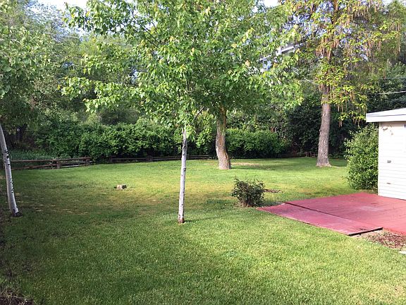 Back yard