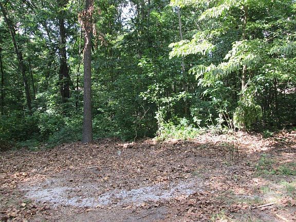 5th image of 37 Tiree Ln