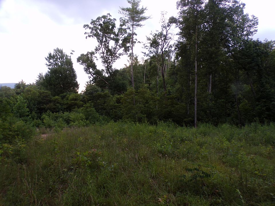 1st image of Robinson Hollow Ln